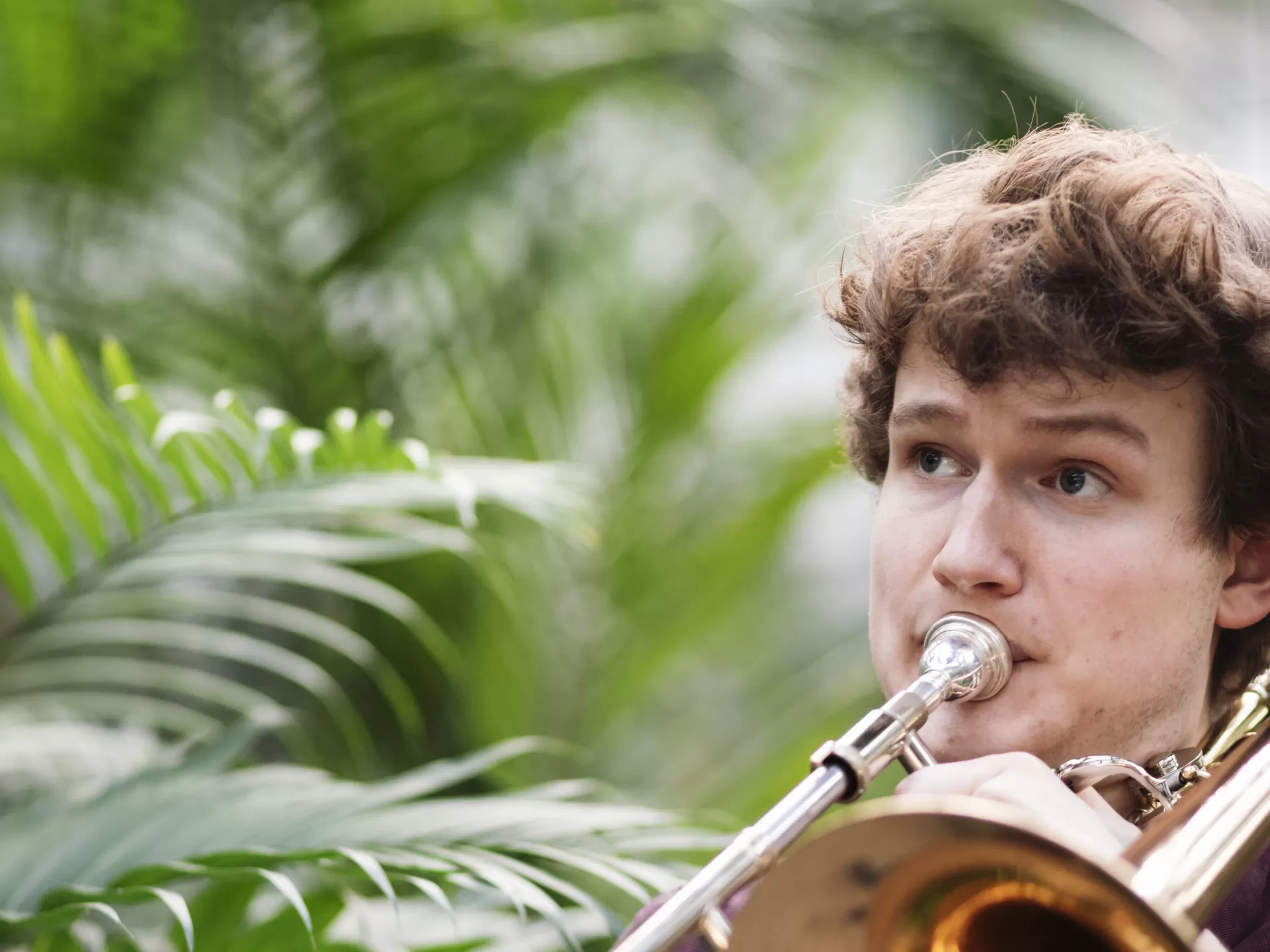 Porträt von Konstantin Kappe mit Posaune