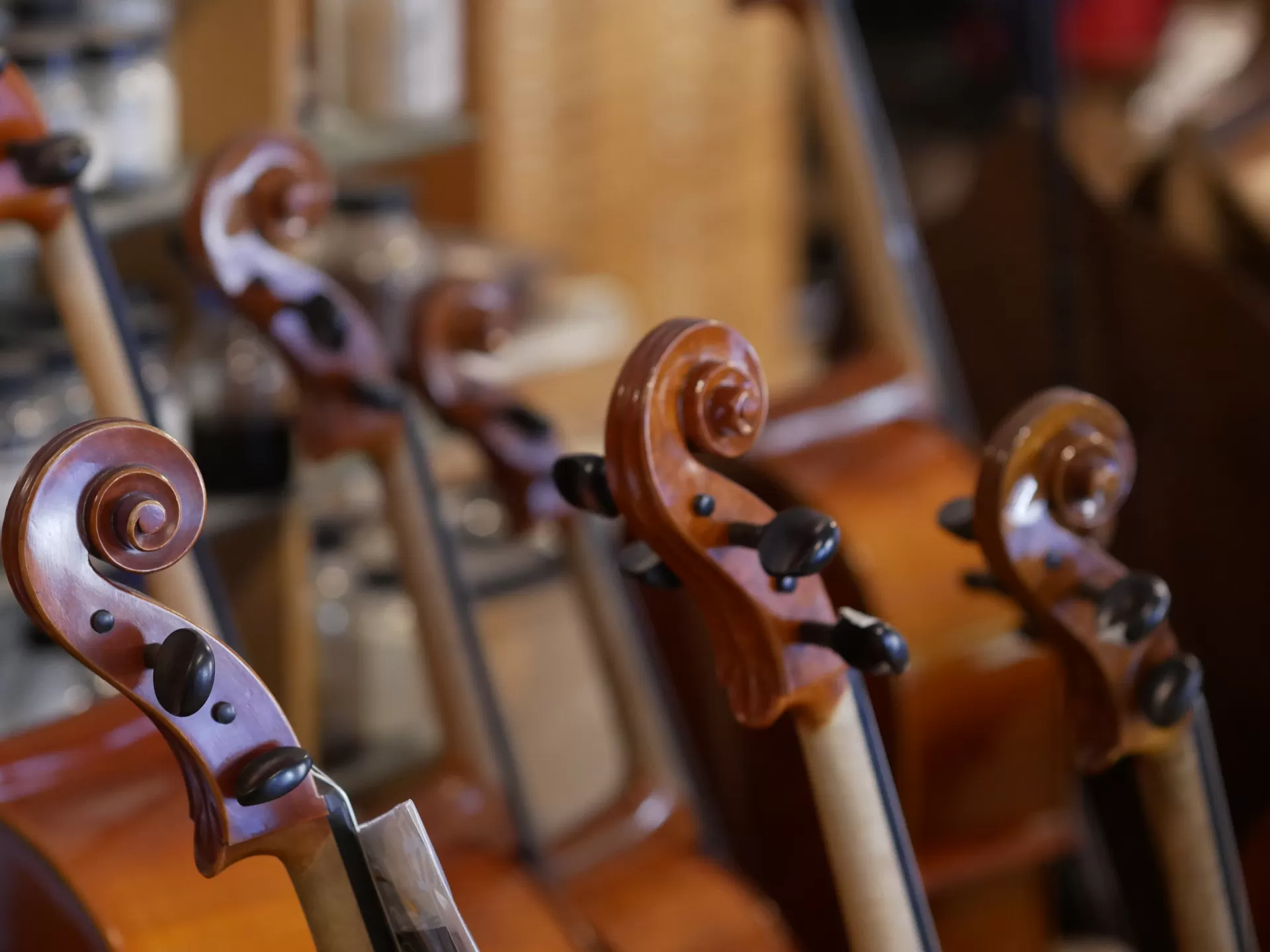 Besuch Geigenbauer Jacobi