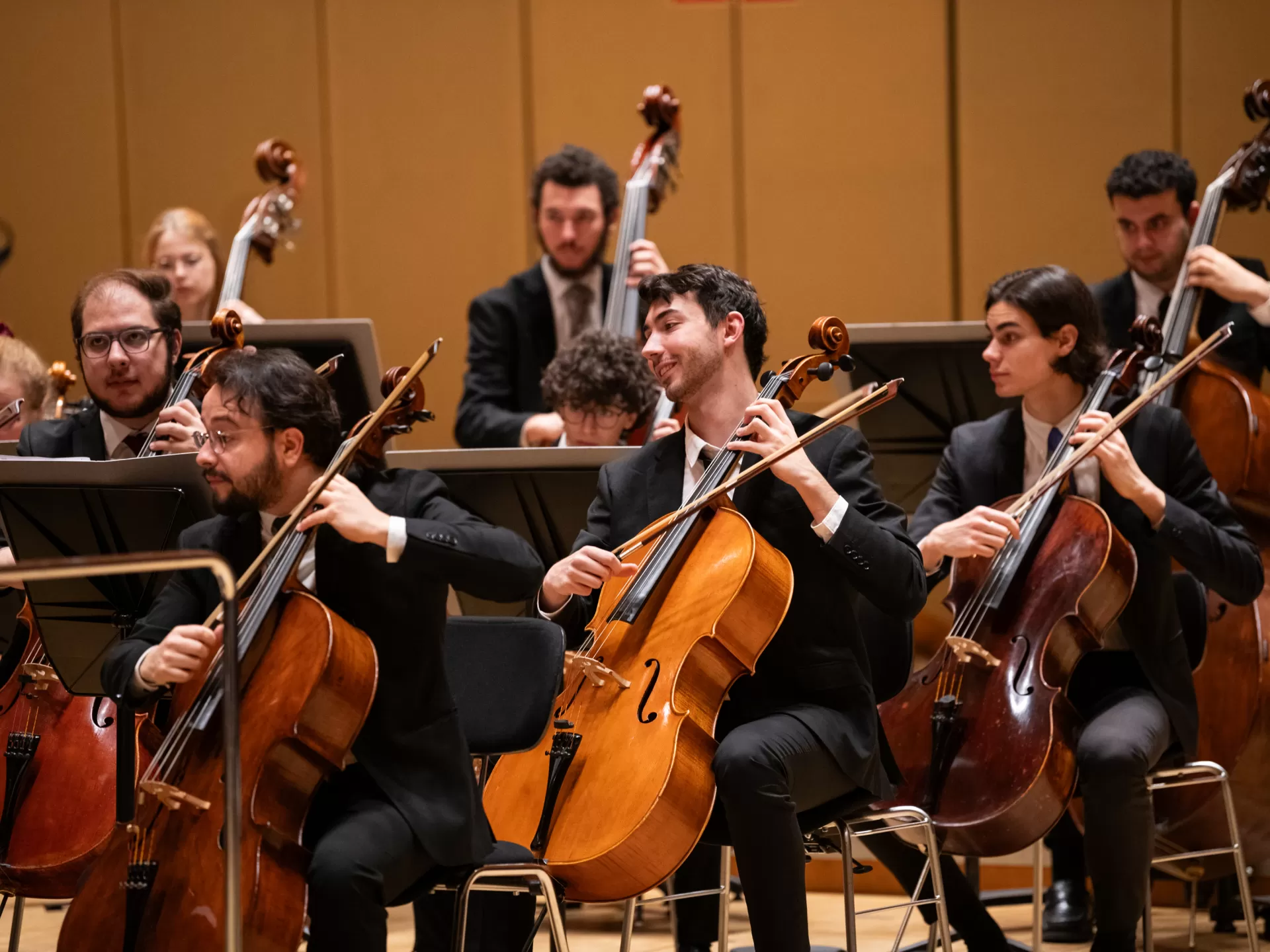 Beim Orchesterkonzert im hr-Sendesaal spielen mehrere Cellisten in einer Reihe und dahinter Bassisten.
