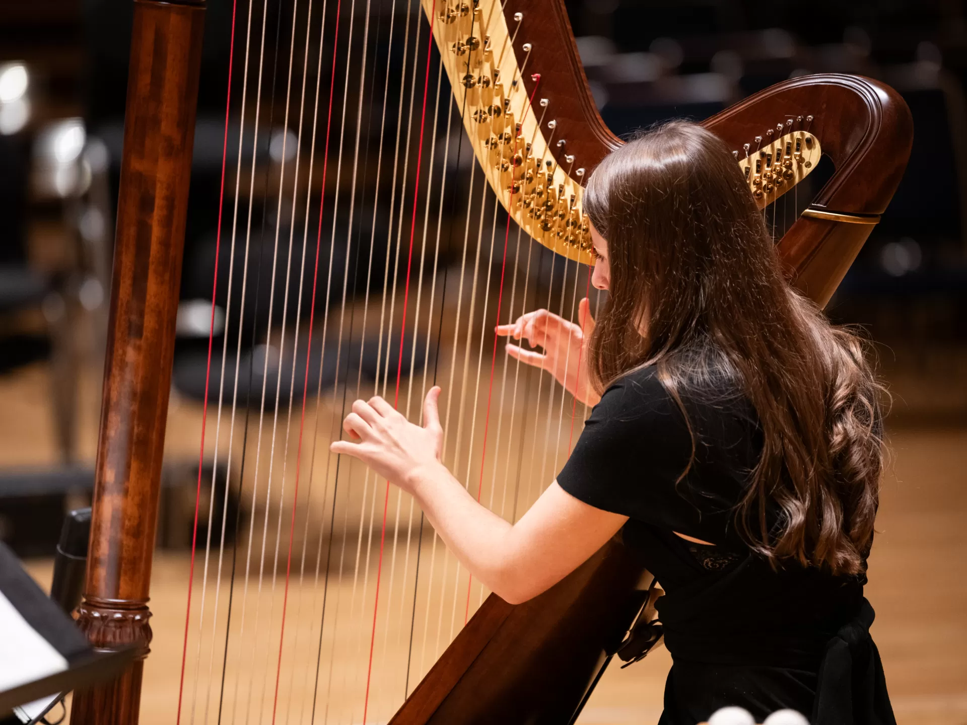 Eine Studentin spielt Harfe beim Orchesterkonzert im hr-Sendesaal