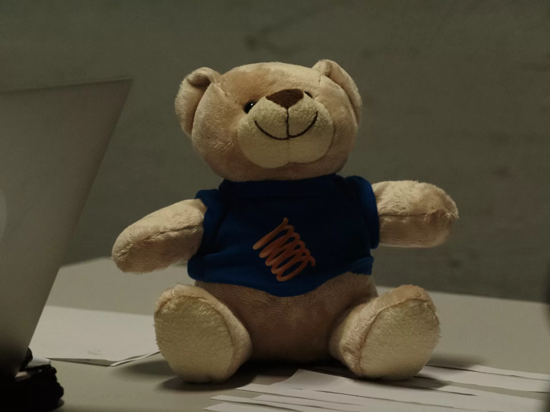 Großaufnahme eines kleinen lächelnden Teddybärs, er trägt einen blauen Pulli mit einem spiralförmigen Logo darauf.