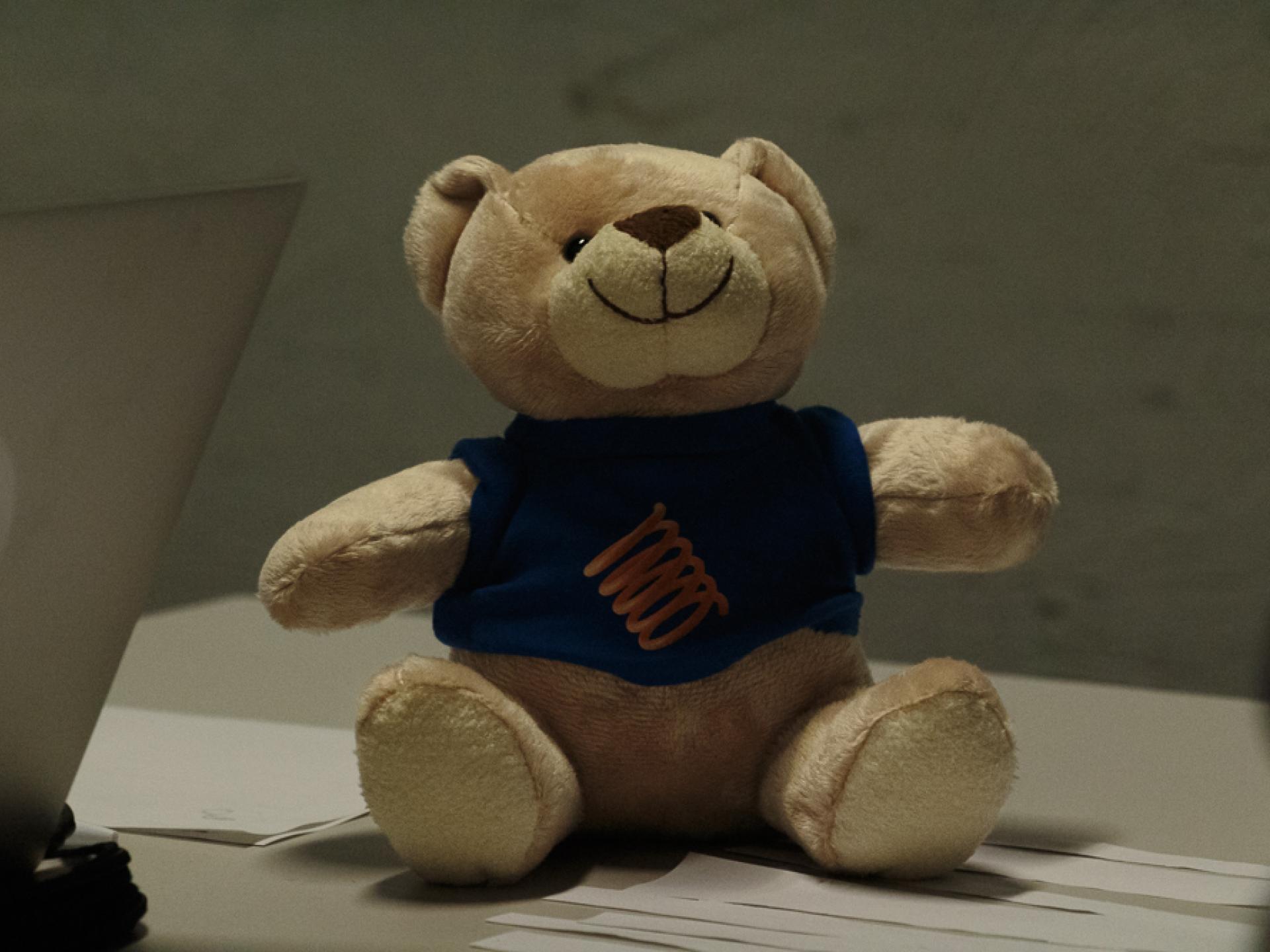 Großaufnahme eines kleinen lächelnden Teddybärs, er trägt einen blauen Pulli mit einem spiralförmigen Logo darauf.