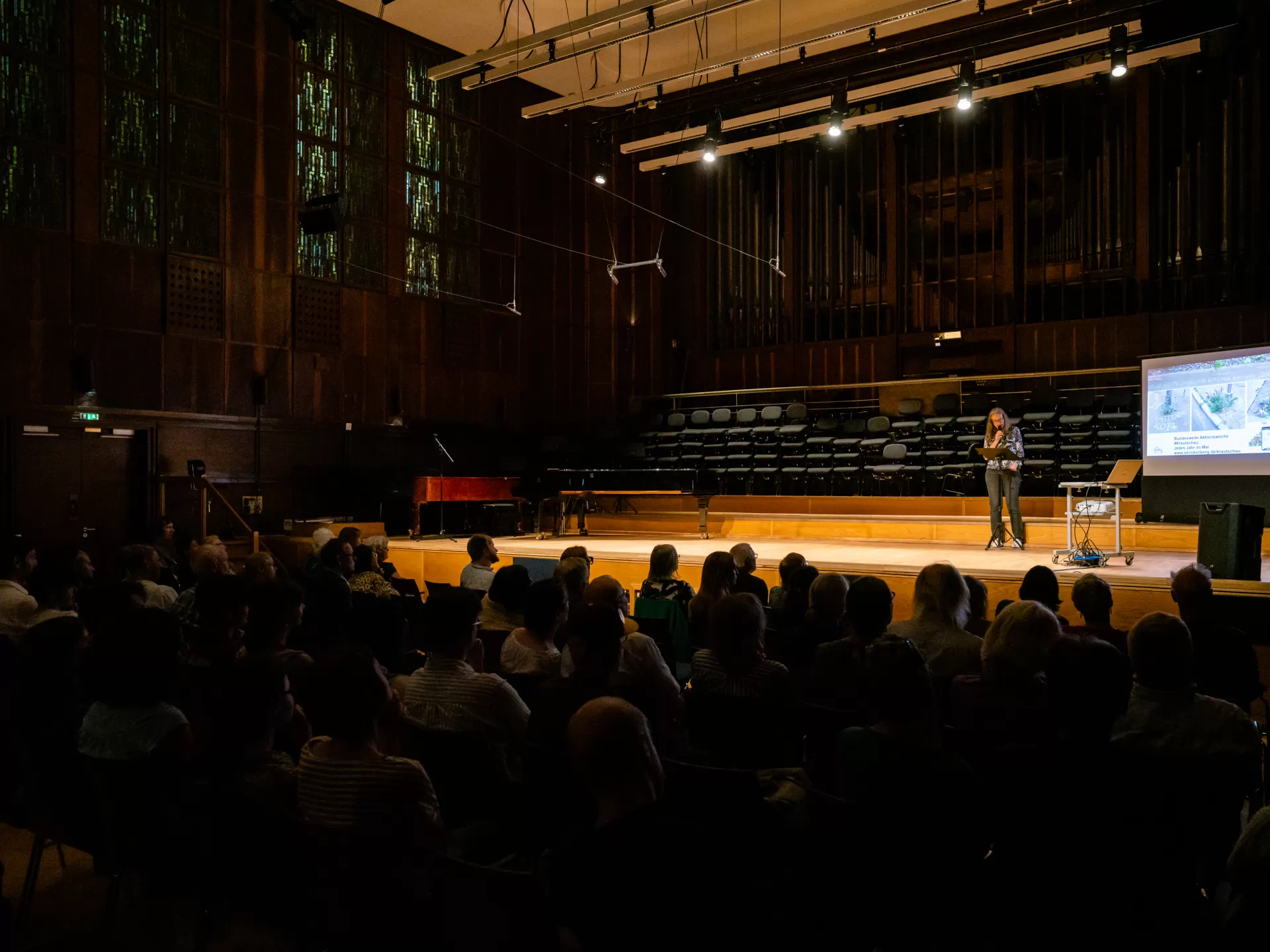 Vielfalt zum Niederknien Kleinste Pflanzen retten die Stadt! von Dr. Julia Krohmer 