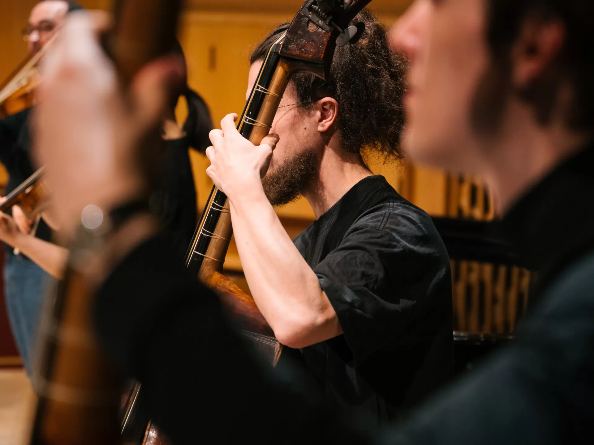 HIP-ENsemble, STreicher-Schnecke