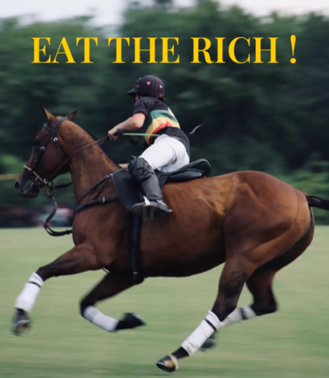 Ein seitlicher Blick auf ein Polopferd mit einem Reiter. Das Pferd läuft im schnellen Galopp von rechts nach links im Bild, der Polospieler hat einen Stock in der Hand und man sieht einen Ball fliegen.