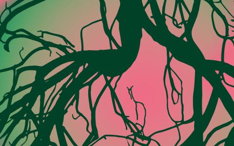 Cover mit graphischem Muster zur Ausstellung "Wälder".