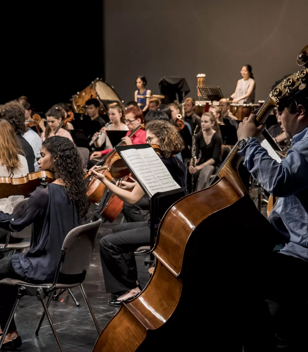 Seitlicher Blick ins Orchester, im Vordergrund die Kontrabässe.