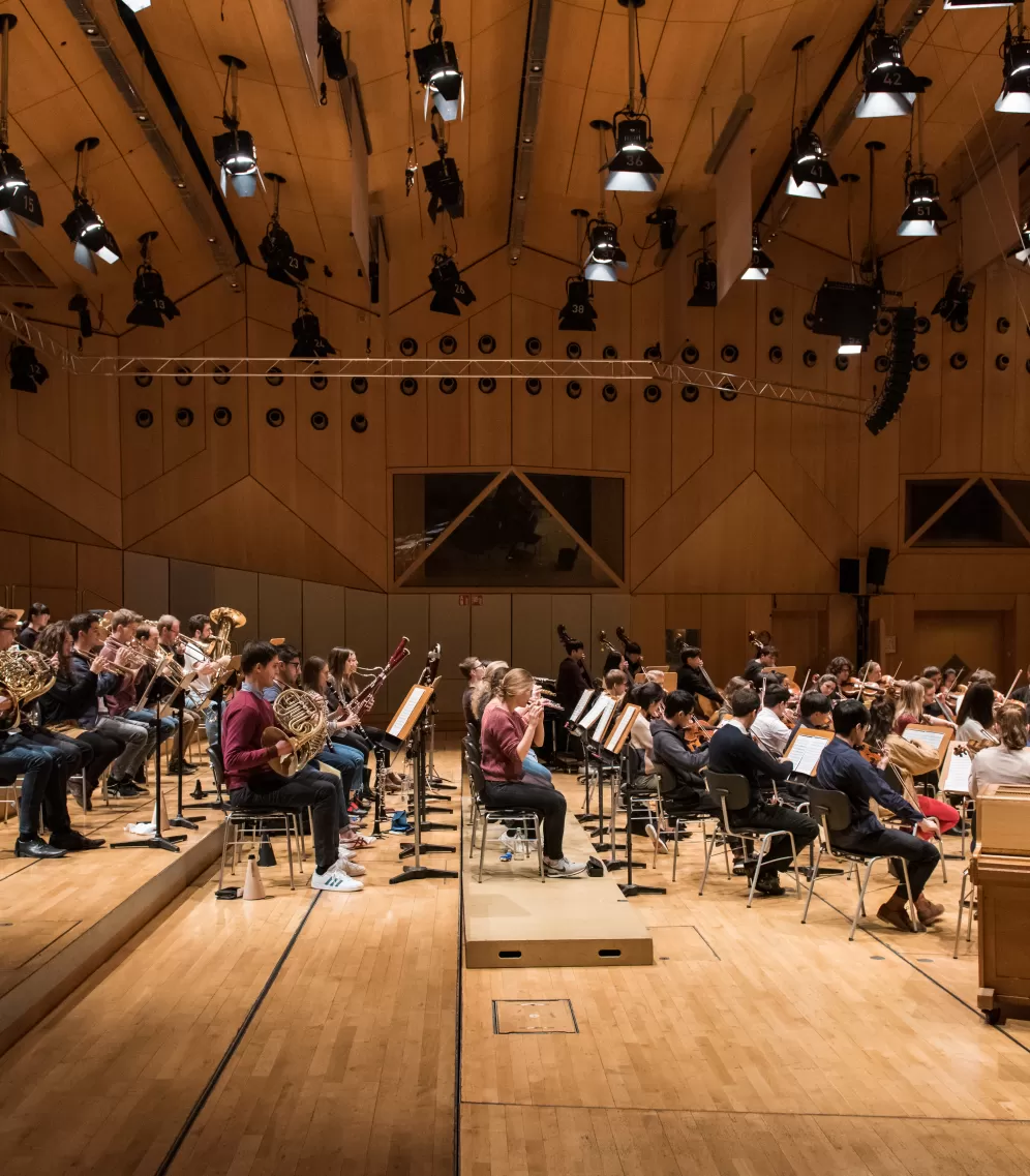 Seitliche Ansicht eines Orchesters auf der Bühne, rechts im Bild der Dirigent.