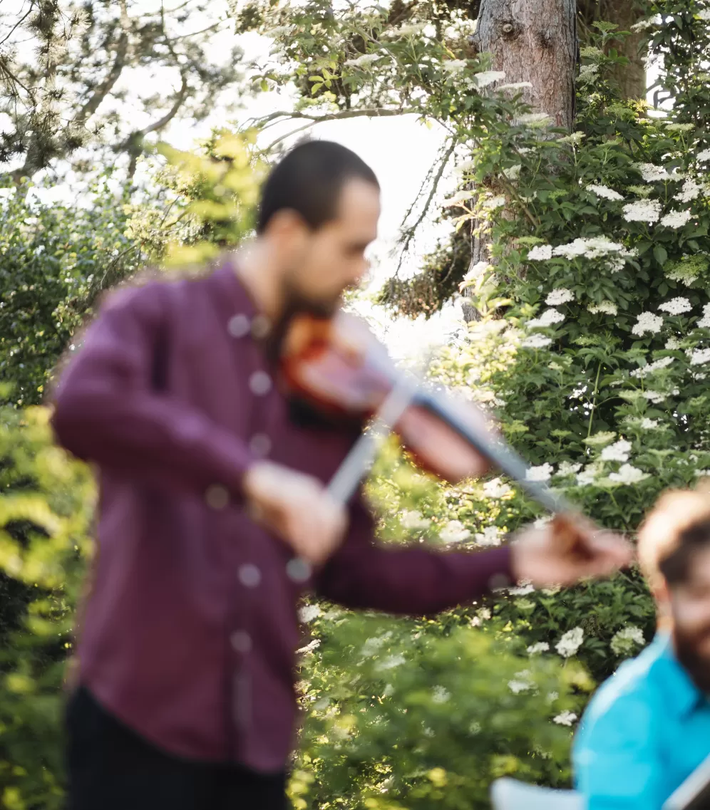 Violinist und Cellist unscharf mit Bäumen und Pflanzen im Hintergrund