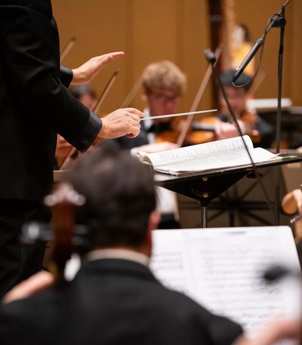 Die Hände des Dirigenten Michael Sanderling