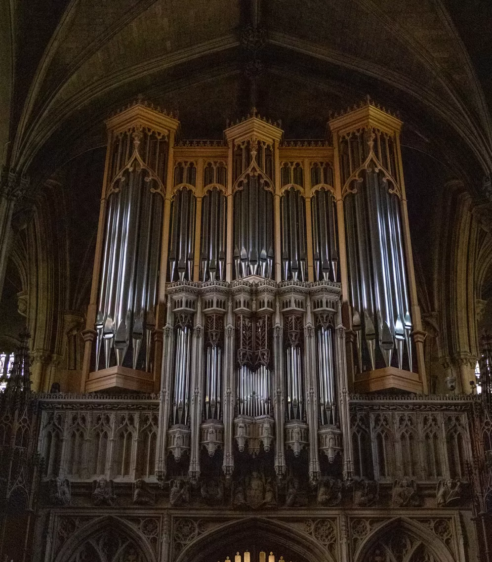 Blick auf Orgel