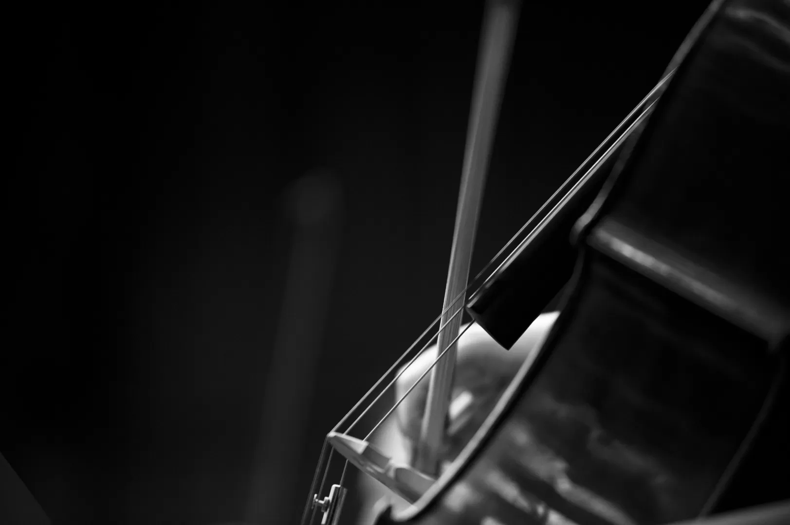 Detailansicht eines Cellos in schwarz-weiß.
