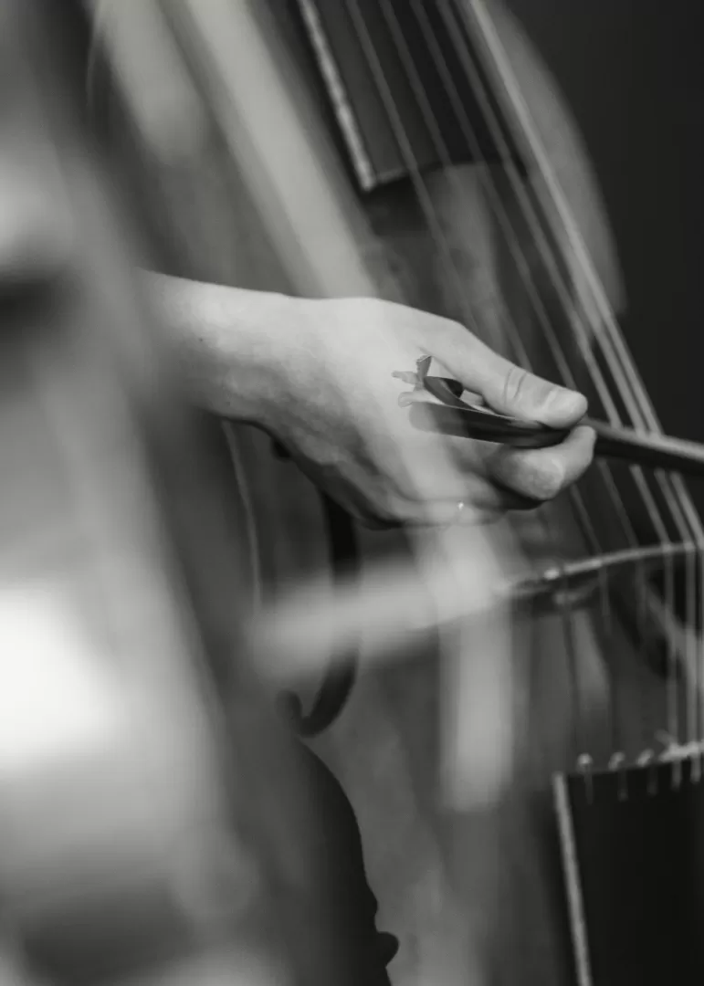 Nahaufnahme einer Hand mit Kontrabassbogen, die über die Saiten eines Instruments streicht
