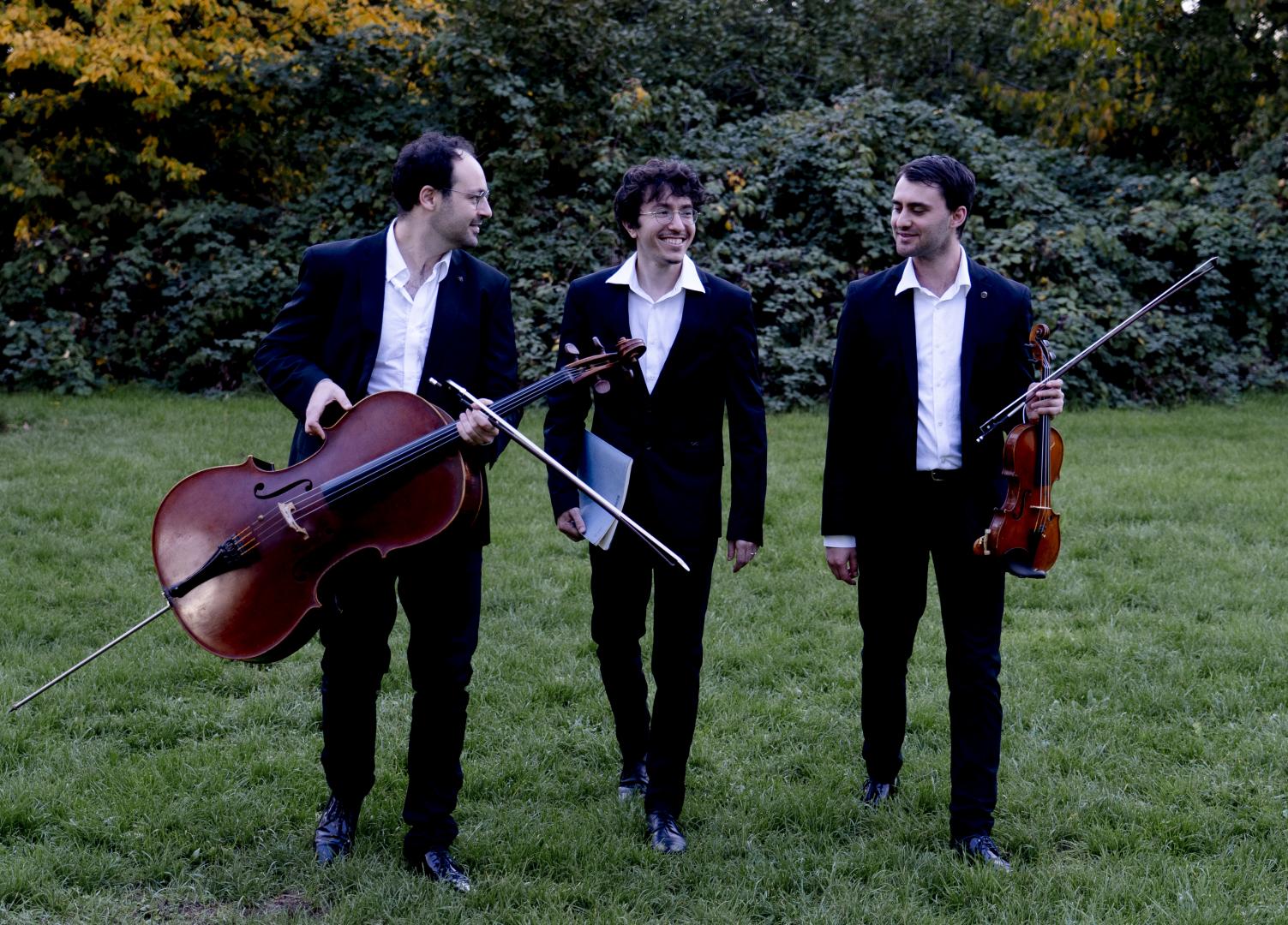 Die drei Musiker des Trio Delyria auf einer Wiese.