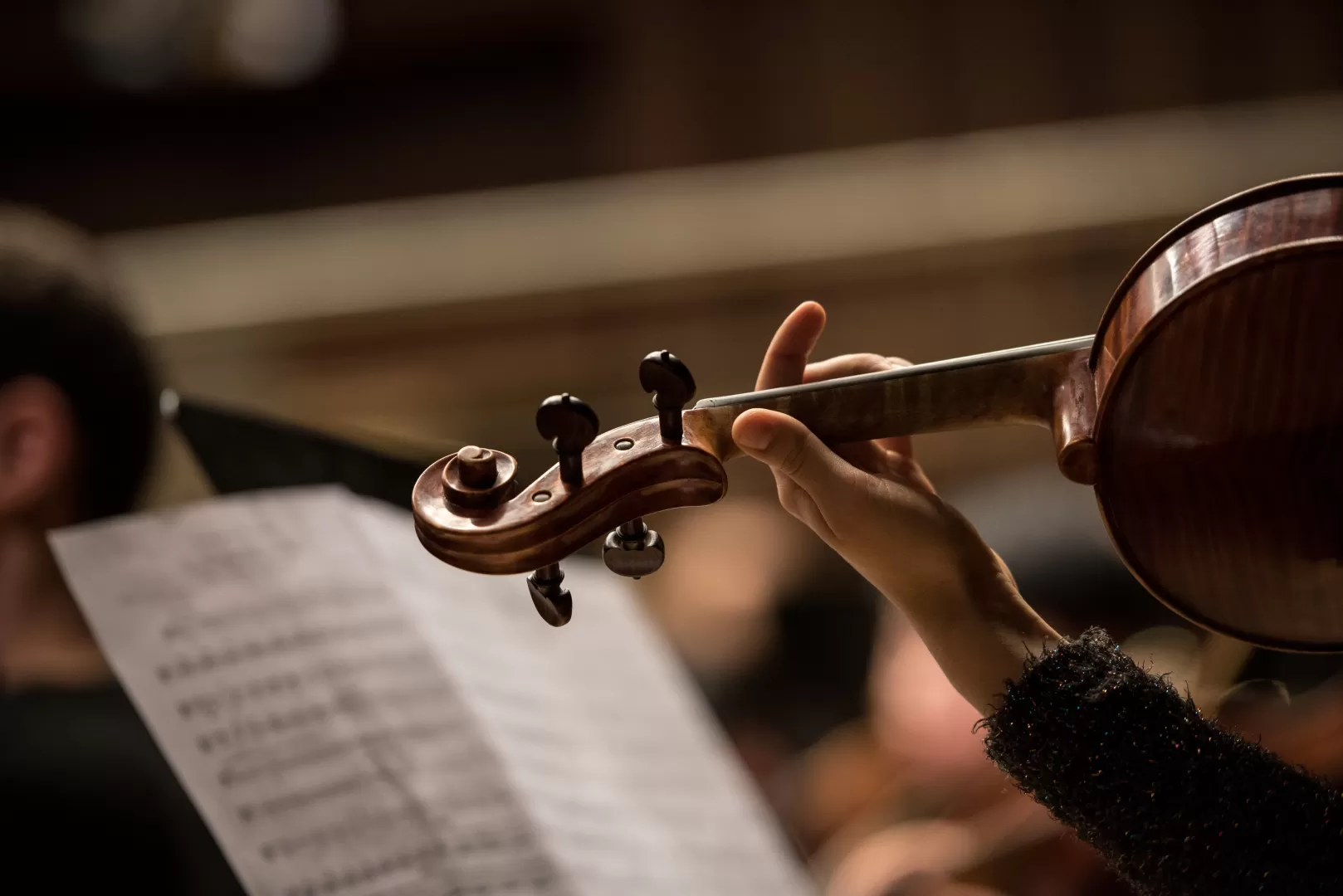 Violine