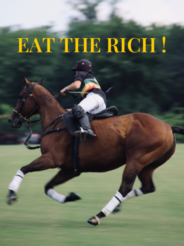 Ein seitlicher Blick auf ein Polopferd mit einem Reiter. Das Pferd läuft im schnellen Galopp von rechts nach links im Bild, der Polospieler hat einen Stock in der Hand und man sieht einen Ball fliegen.