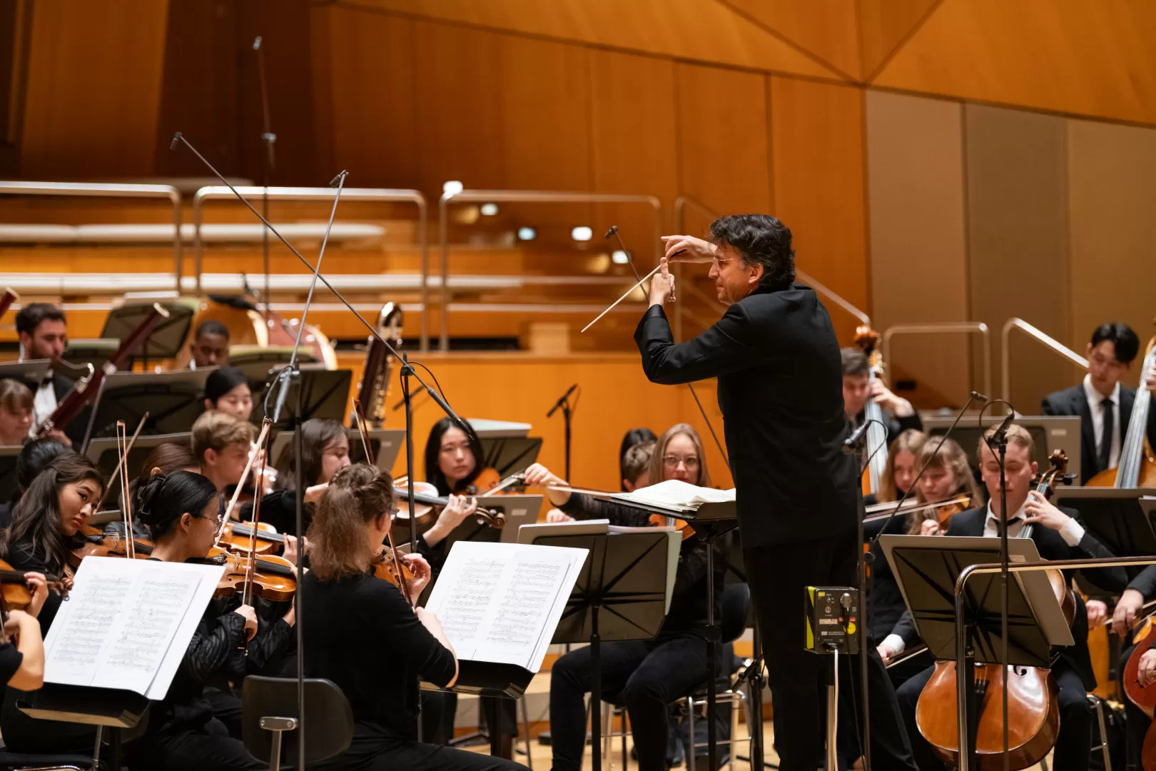 Prof. Michael Sanderling dirigiert das Orchester.