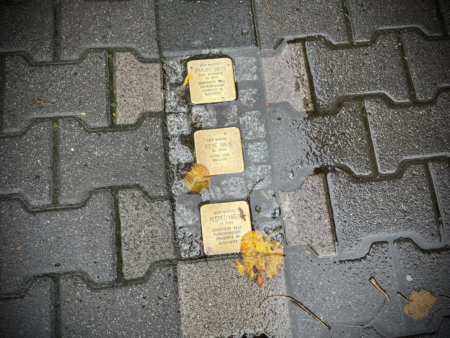 Drei Stolpersteine für Alfred, Irmgard und Irene Marx, die im Gehweg vor der Einfahrt der HfMDK Frankfurt eingelassen sind.