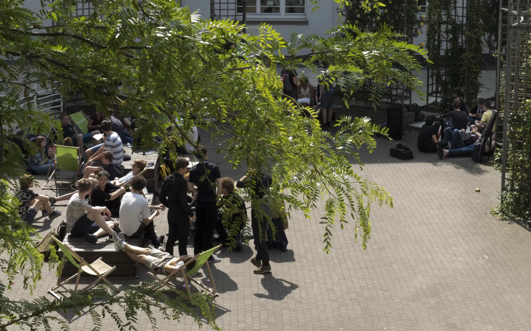 Sommer im Innenhof der HfMDK: Von links ragen grüne Äste ins Bild, dahinter sieht man eine große Gruppe Studierender stehen, sitzen und das Wetter genießen.
