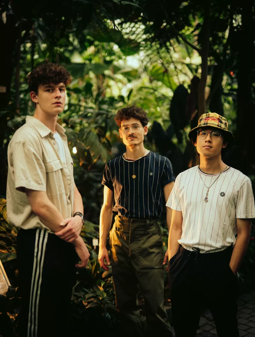 Die drei Musiker des JLF Project stehen zwischen Palmen und Bäumen.