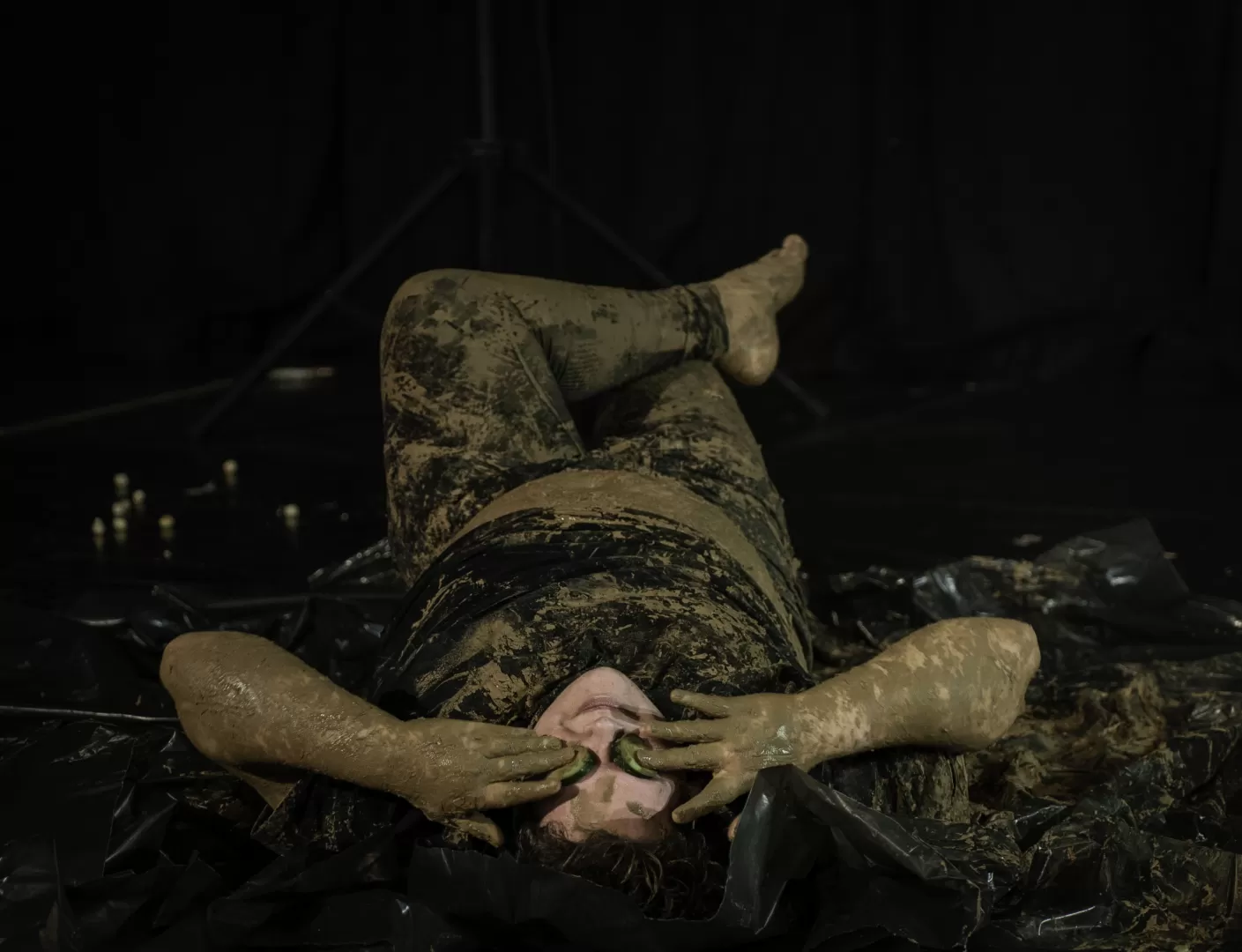 Ein Schwein verwandelt sich zu Cleopatra