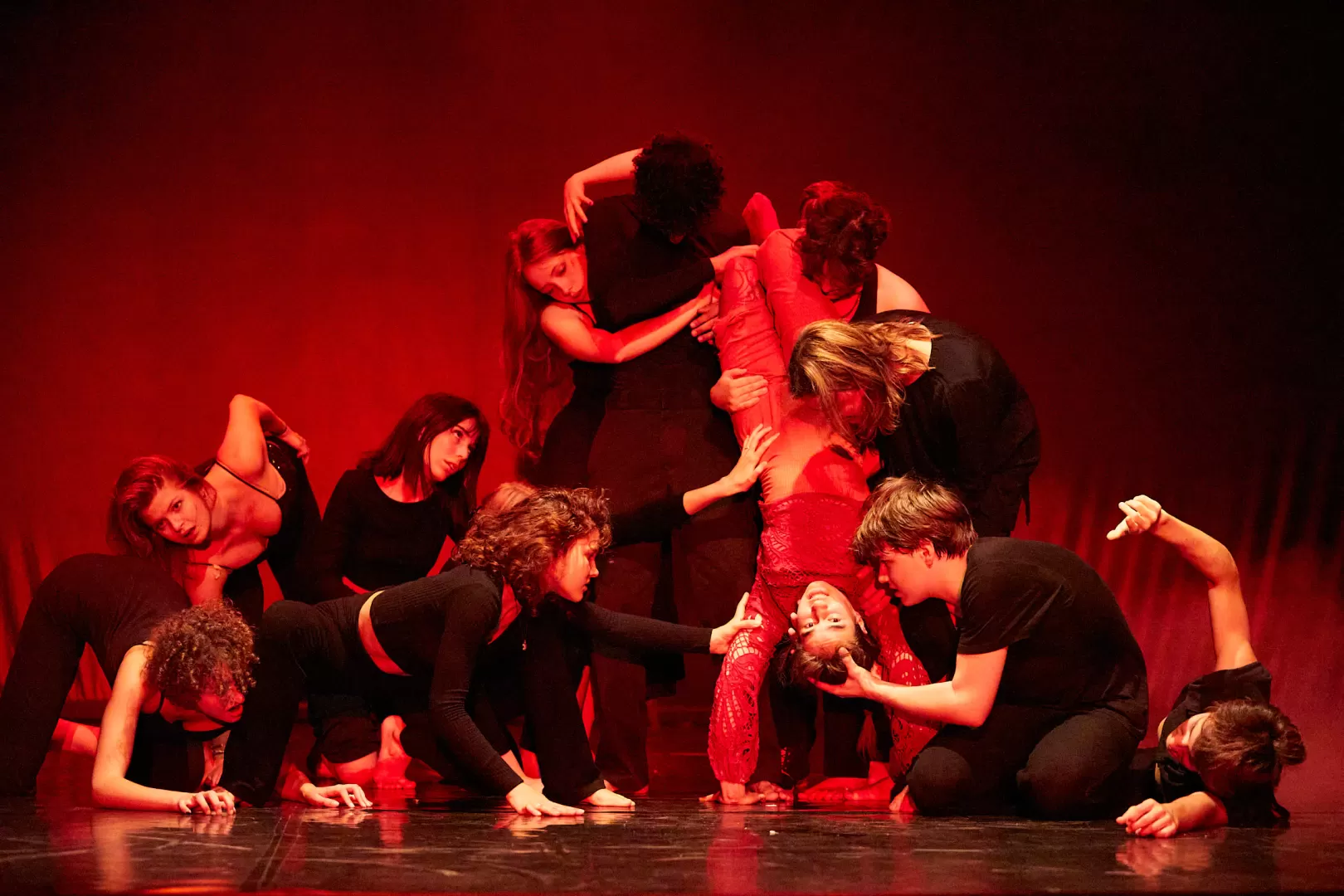 Dascha Dumont "Begehren"