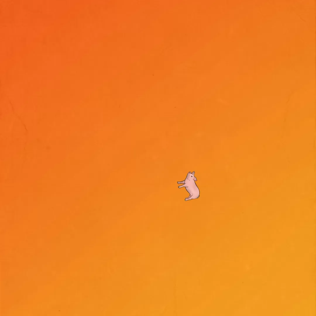 Illuststration eines kleinen Schweins auf orange