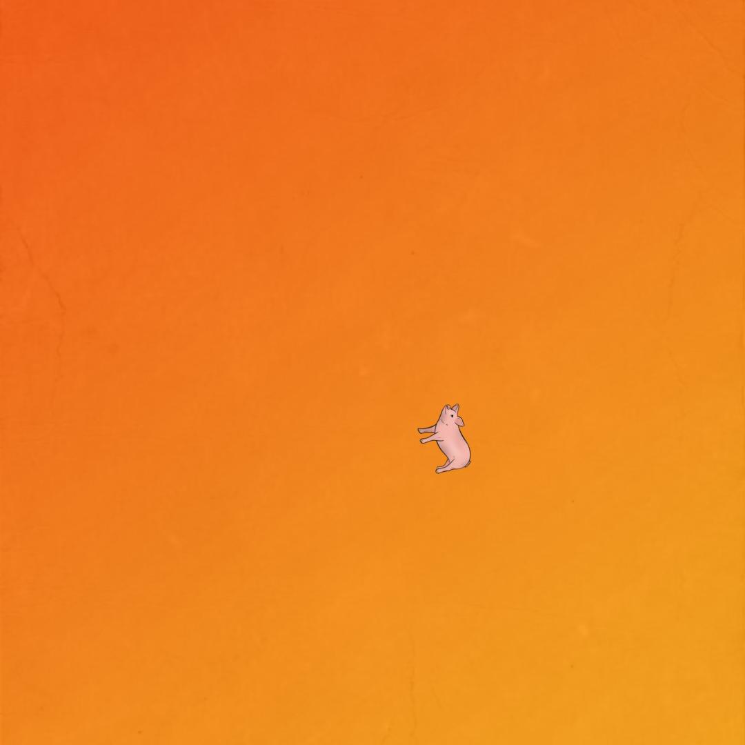 Illuststration eines kleinen Schweins auf orange