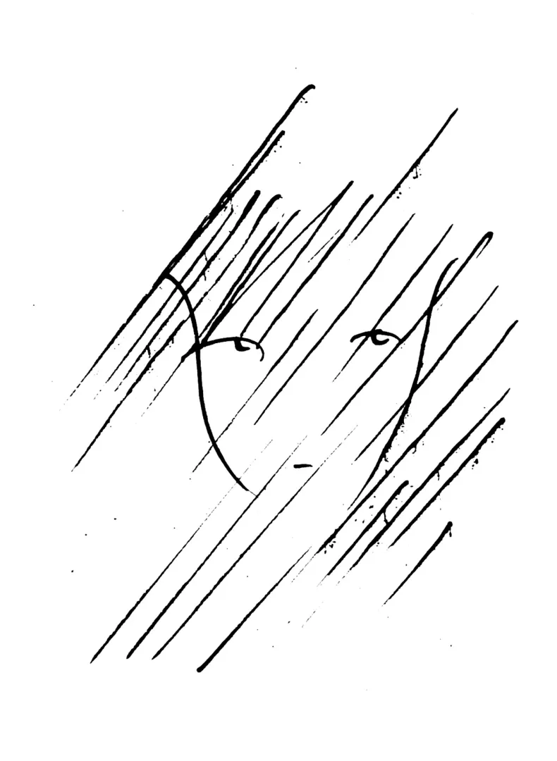 Schwarz-weiße Illustration, ein angedeutetes Gesicht, von Linien durchzogen