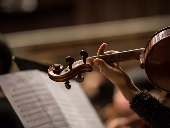 Violine