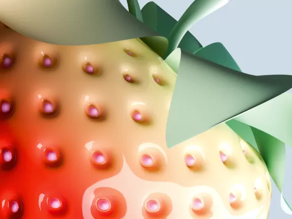 Anschnitt einer sehr künstlichen Erdbeere.