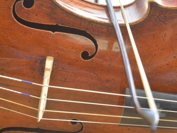 Cello, Still-Ausschnitt