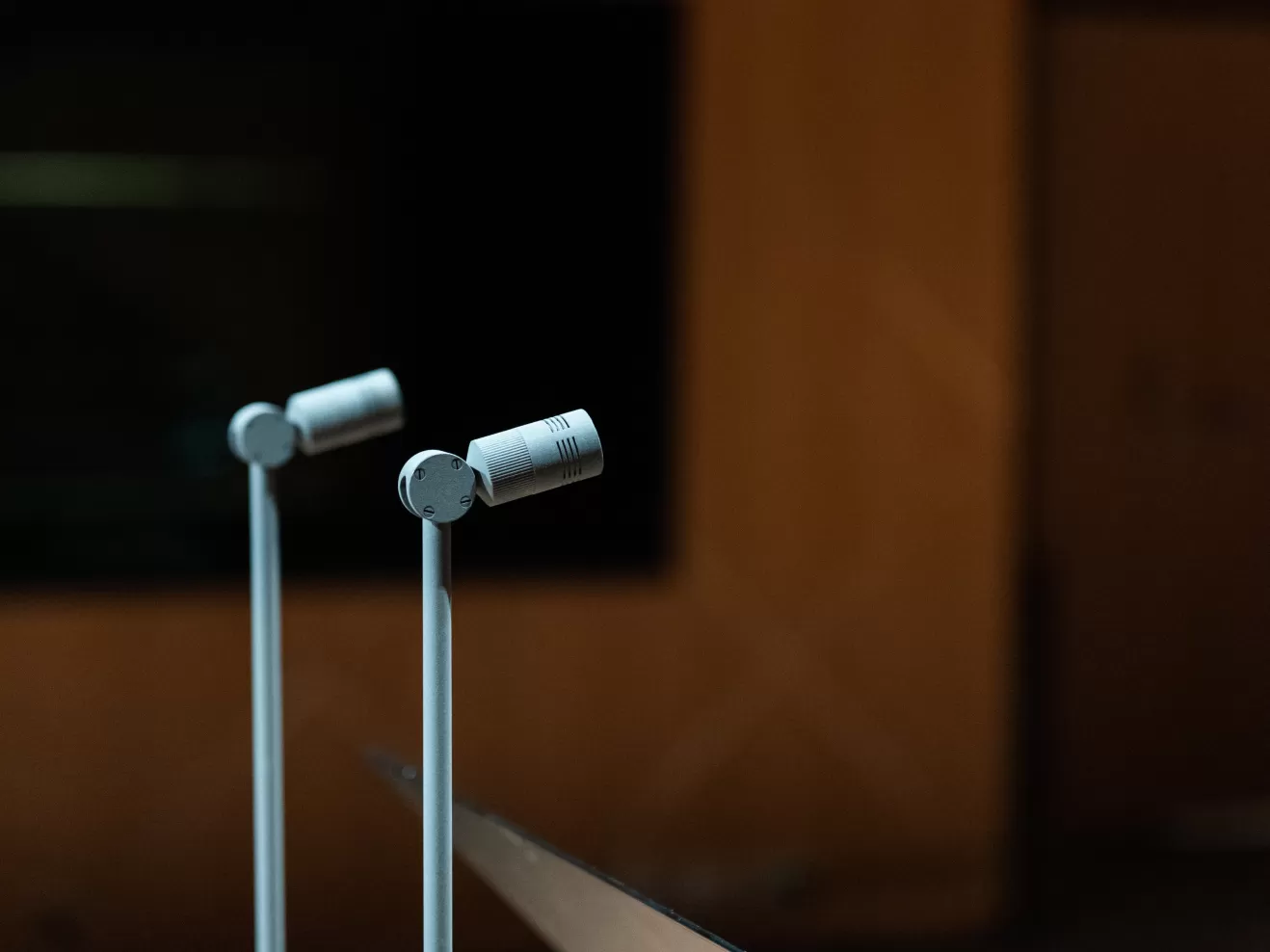 Zwei kleine Mikrofone