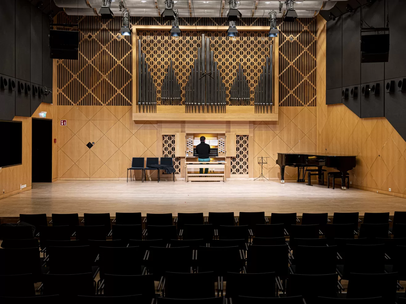Organist an der Kern-Orgel im Kleinen Saal