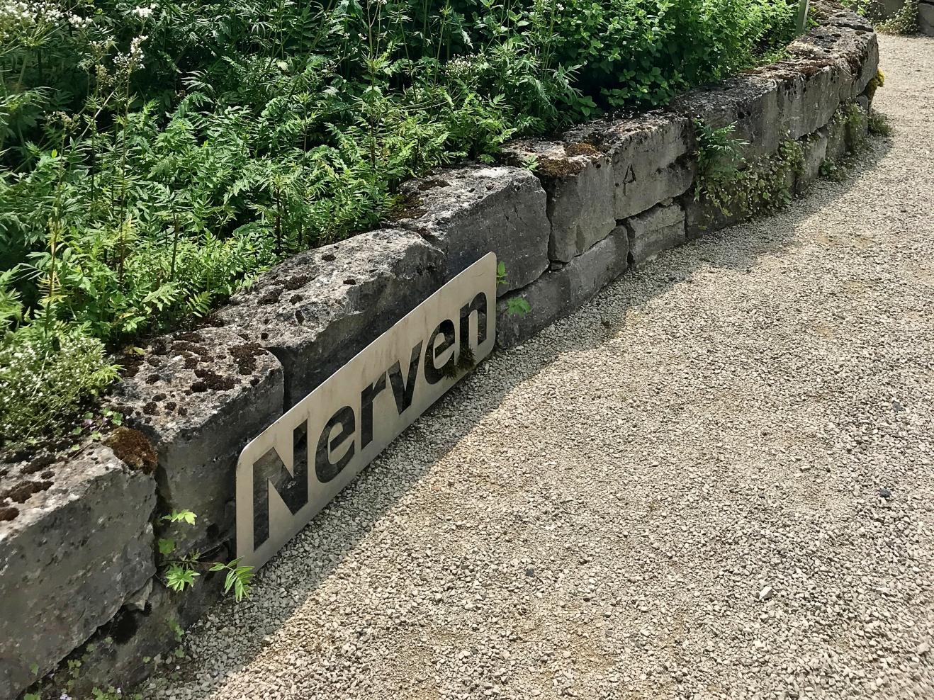 Im Botanischen Garten Frankfurt: Heilkräuter zur Beruhigung der Nerven.