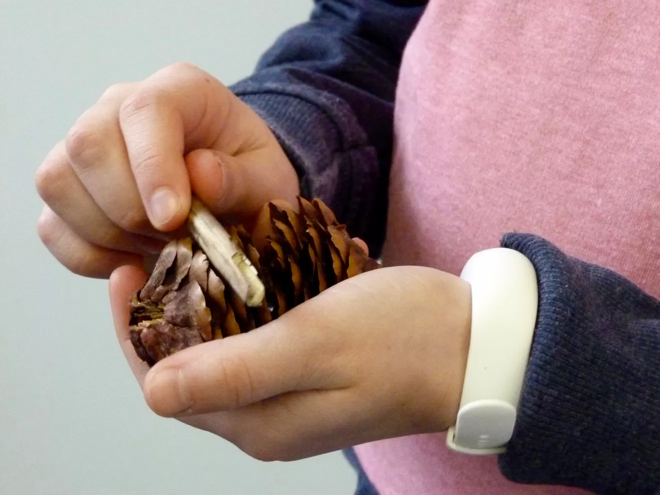 Ein Kind erzeugt Klänge mit einem Tannenzapfen.