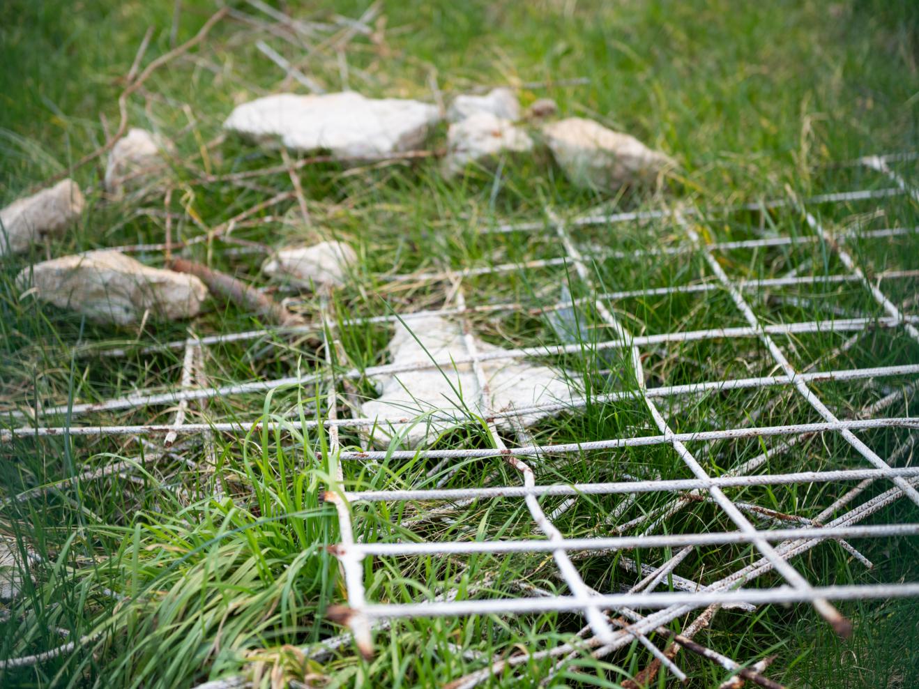 Nahaufnahme einer grünen Wiese, auf der ein weißes Gitter mit rostigen Stellen liegt.