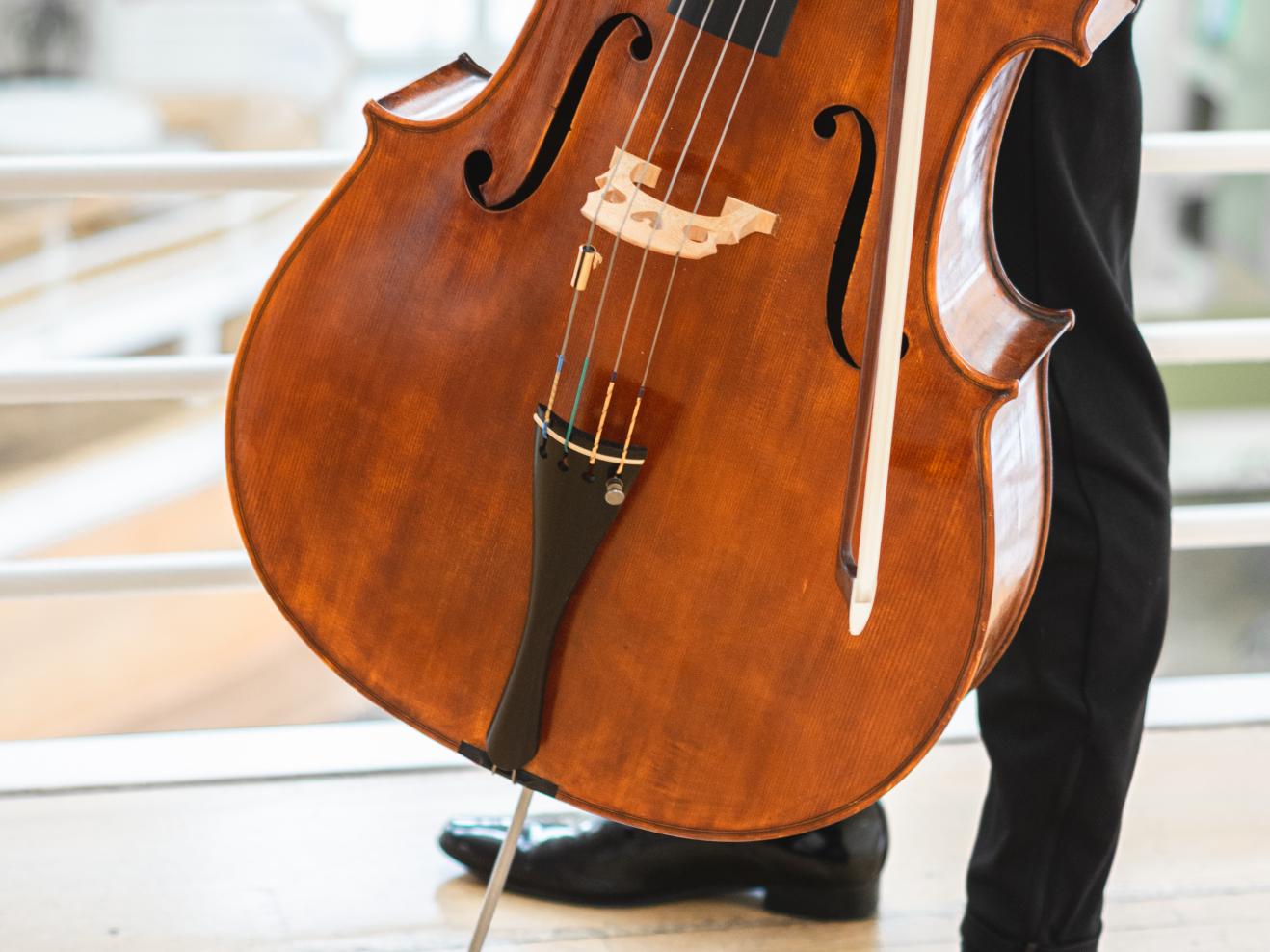 Bild Knopf-Cello