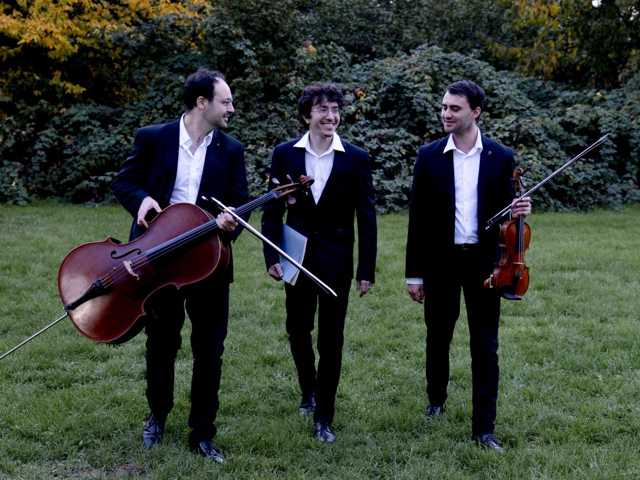 Die drei Musiker des Trio Delyria auf einer Wiese.