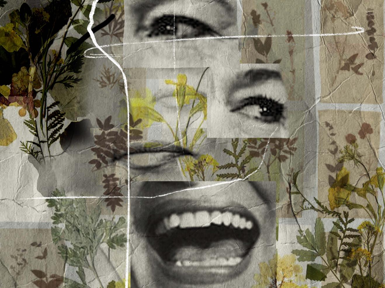 Das Bild zeigt eine Collage aus getrockneten Blumen und Versatzstücke des Gesichts von Hannelore Elsner. Ein großer Lachender Mund, ein geschlossener Mund, zwei Augen.