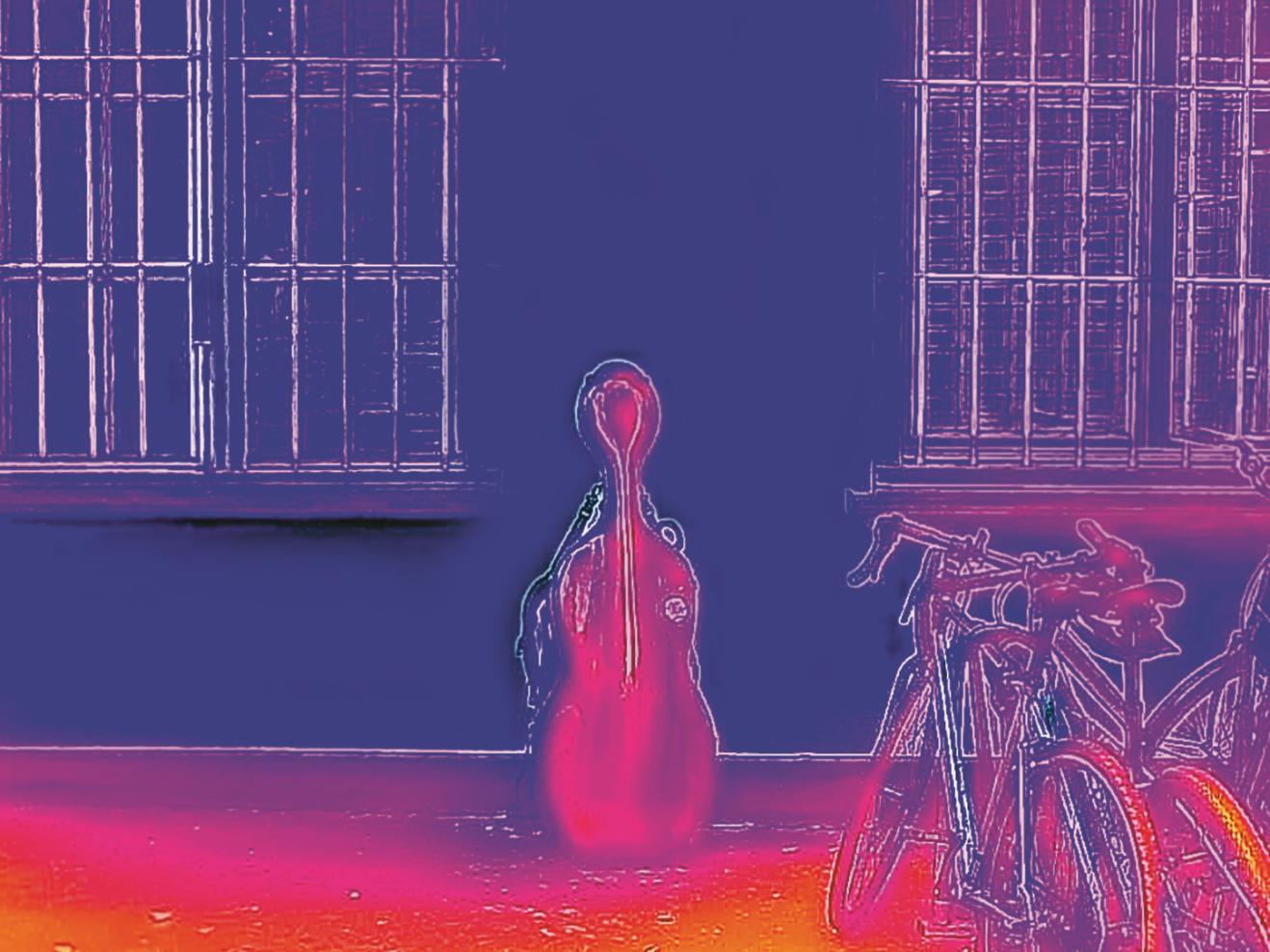Thermografie-Aufnahme eines Cello-Koffers im Hof der HfMDK