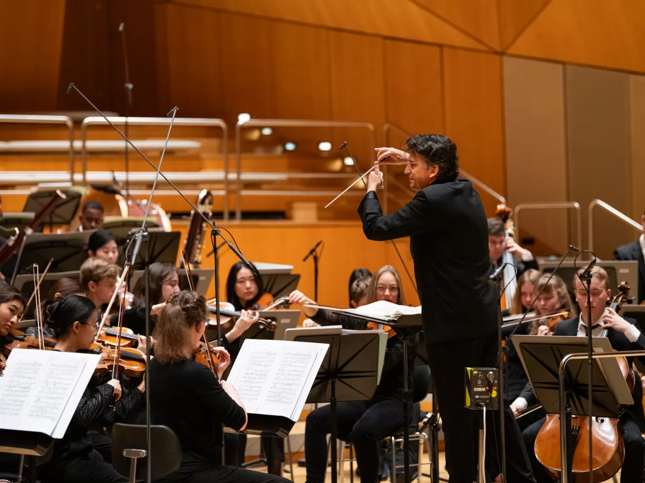 Prof. Michael Sanderling dirigiert das Orchester.