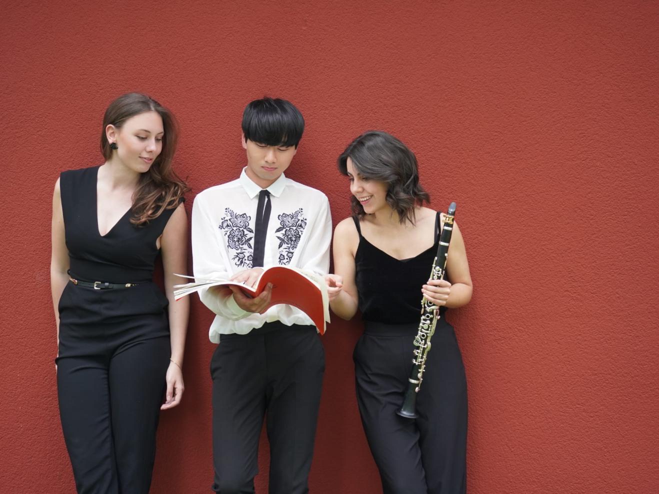 Foto des Elysion Trio