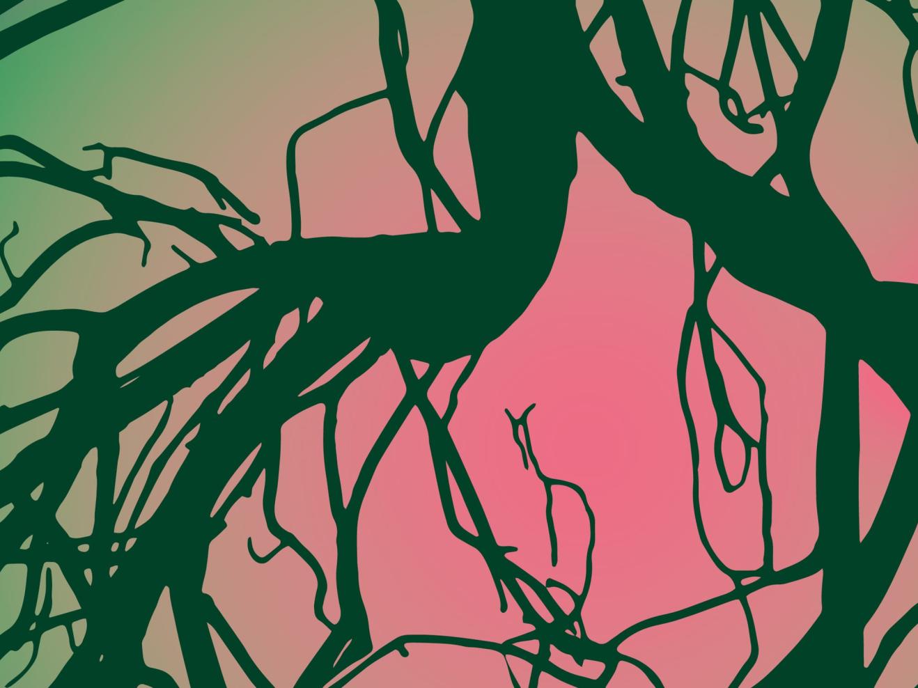 Cover mit graphischem Muster zur Ausstellung "Wälder".