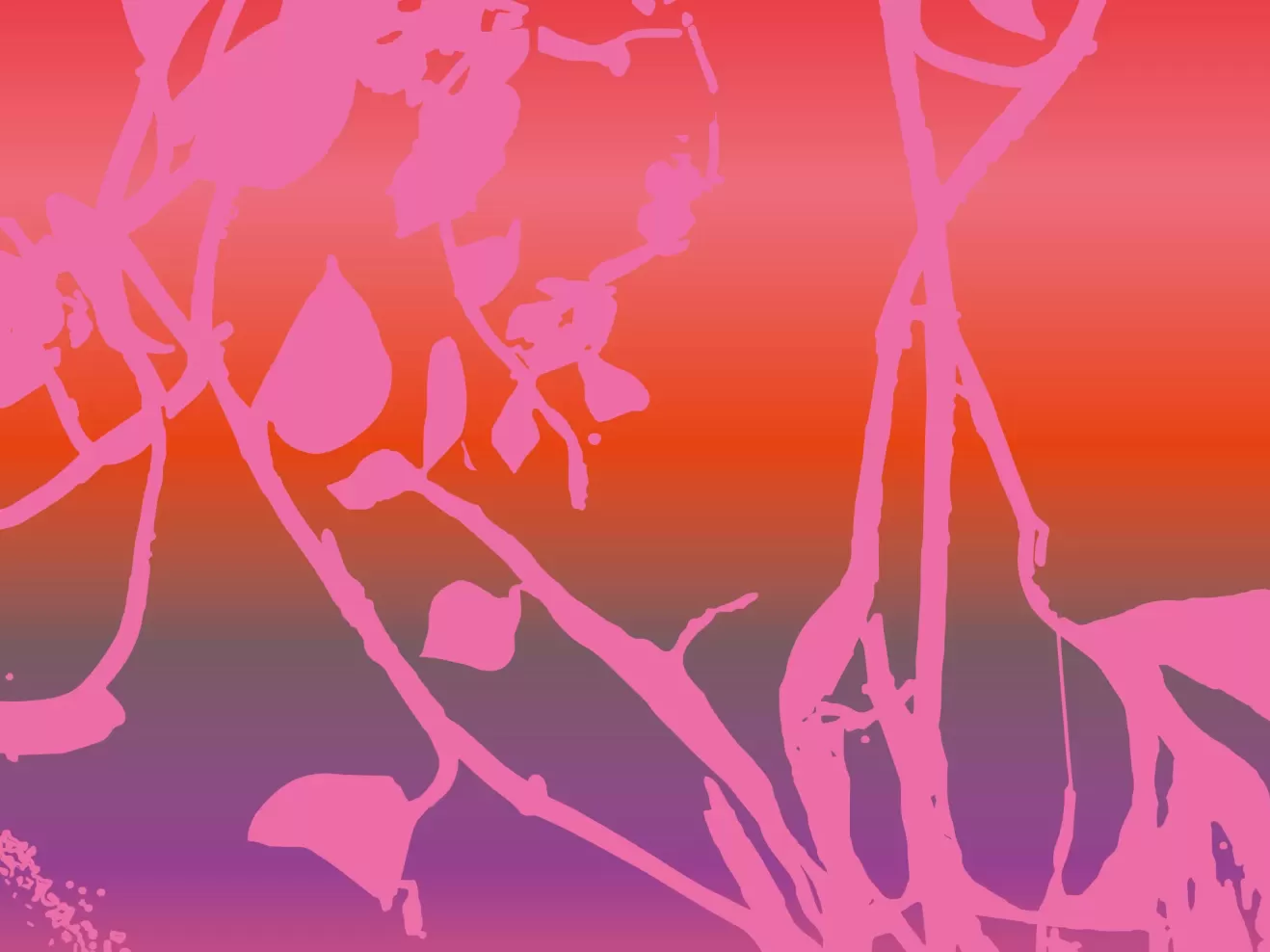 Bunte Pflanzen auf rosa HIntergrund gemalt