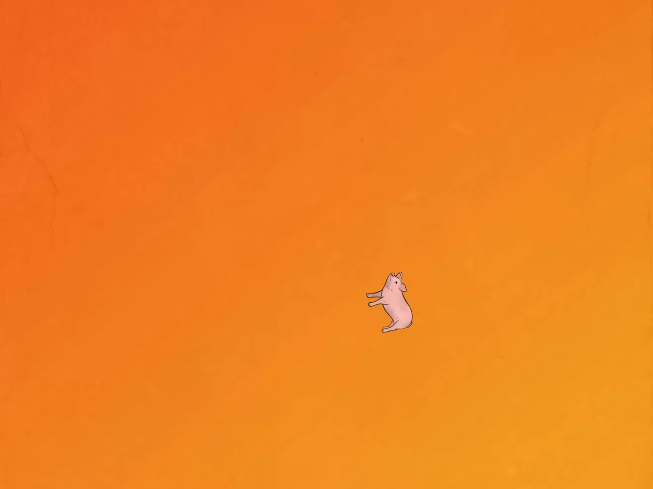 Illuststration eines kleinen Schweins auf orange