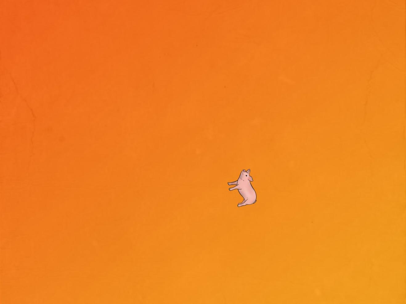 Illuststration eines kleinen Schweins auf orange