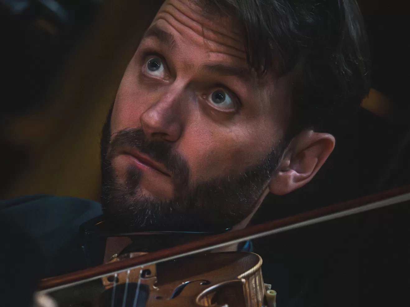 Musik für Stummfilme: Musiker