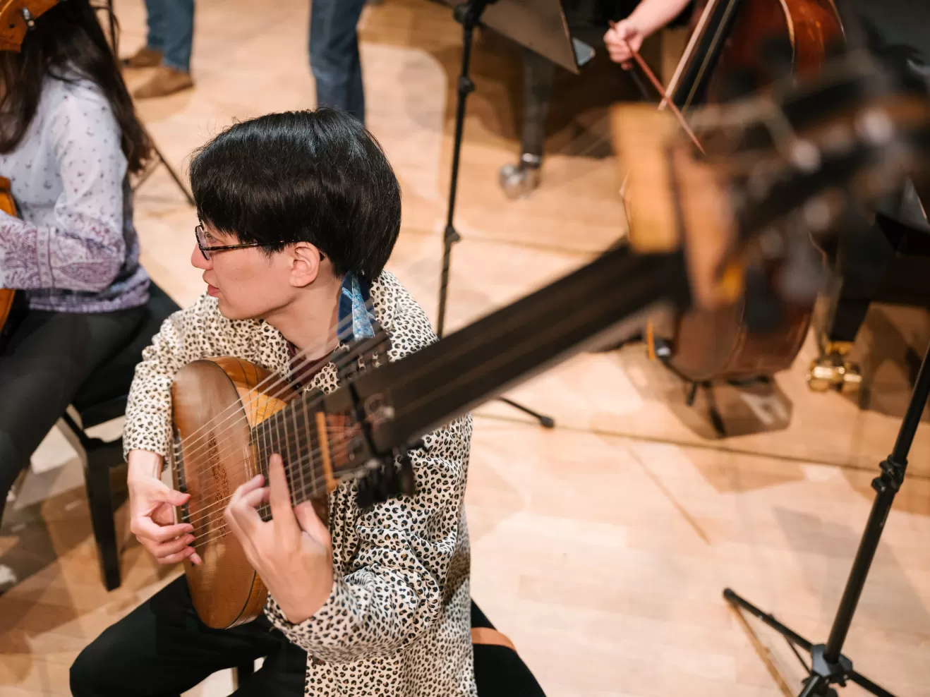 HIP-Ensemble